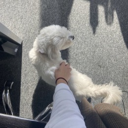 Instagram post from @thegrandwny on May 05, 2025 00:00:00am